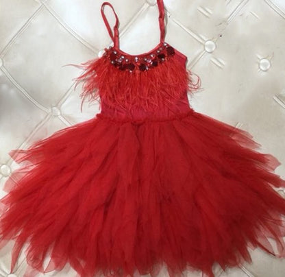 Girls Feather and Tulle Dresses for Birthdays Pageants Spring Dance with Bead Detailing