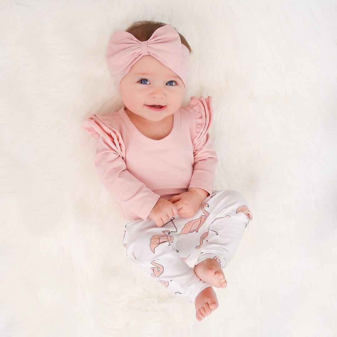 Baby Girl Flamingo Leggings and Pink Long Sleeve Ruffle Romper Set