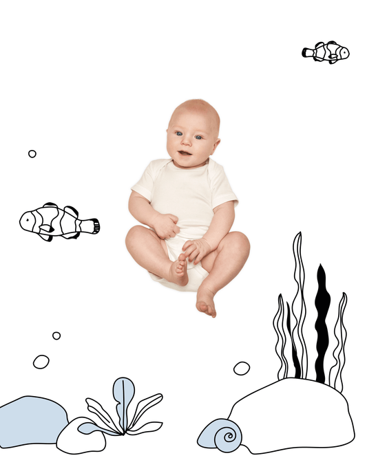 Under the Sea Sketch Baby Photo Backdrop Fish Background Monthly Pictures Milestone Backdrop